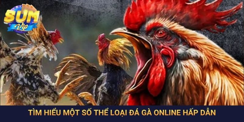 Tìm hiểu một số thể loại đá gà online hấp dẫn