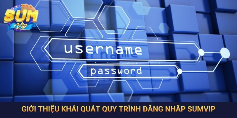 Giới thiệu khái quát quy trình đăng nhâp SumVip