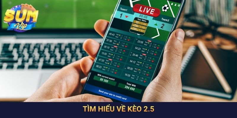 Tìm hiểu về kèo 2.5