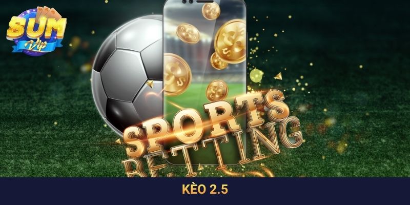 Nghiên Cứu Cách Chơi Kèo 2.5 Hiệu Quả Để Thắng Trận