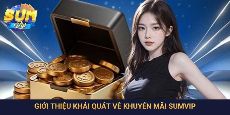 Giới thiệu khái quát về khuyến mãi SumVip