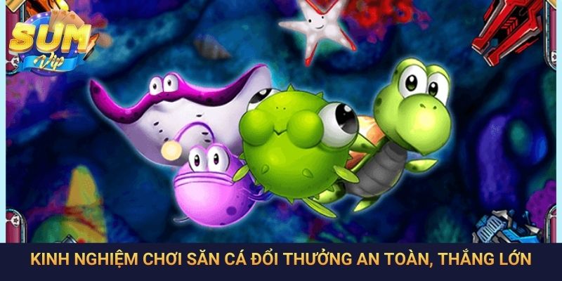 Kinh nghiệm chơi săn cá đổi thưởng an toàn, thắng lớn